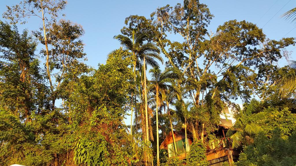 Wasai Puerto Maldonado Eco Lodge Buitenkant foto